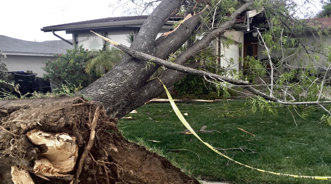Storm Damage 